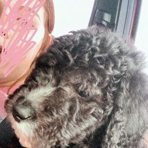 Meet your Posher, Addison